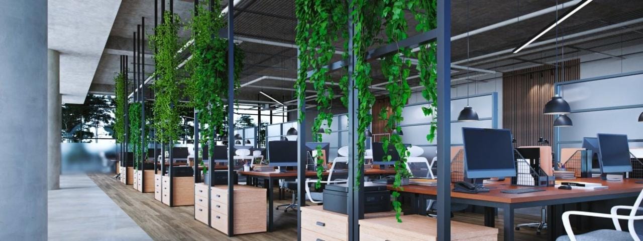 The Benefits of Biophilic Design in Modern Office Spaces | MPL
